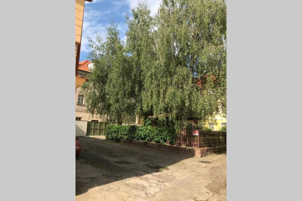 Rose Apartments / Romantic & Cozy / City Center Prag Exterior foto
