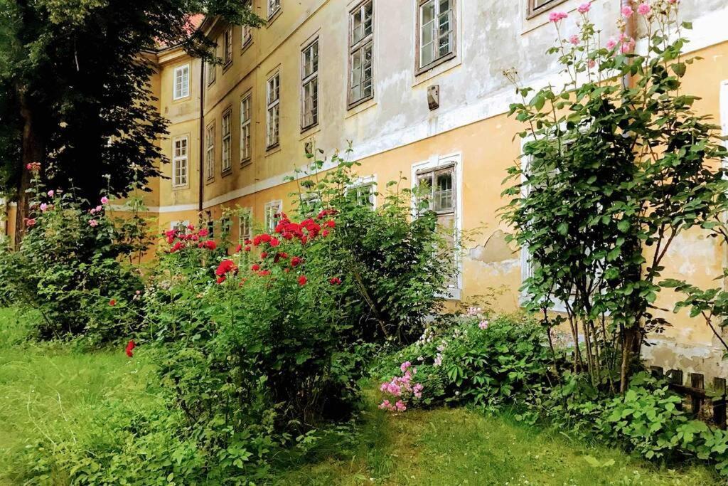 Rose Apartments / Romantic & Cozy / City Center Prag Exterior foto